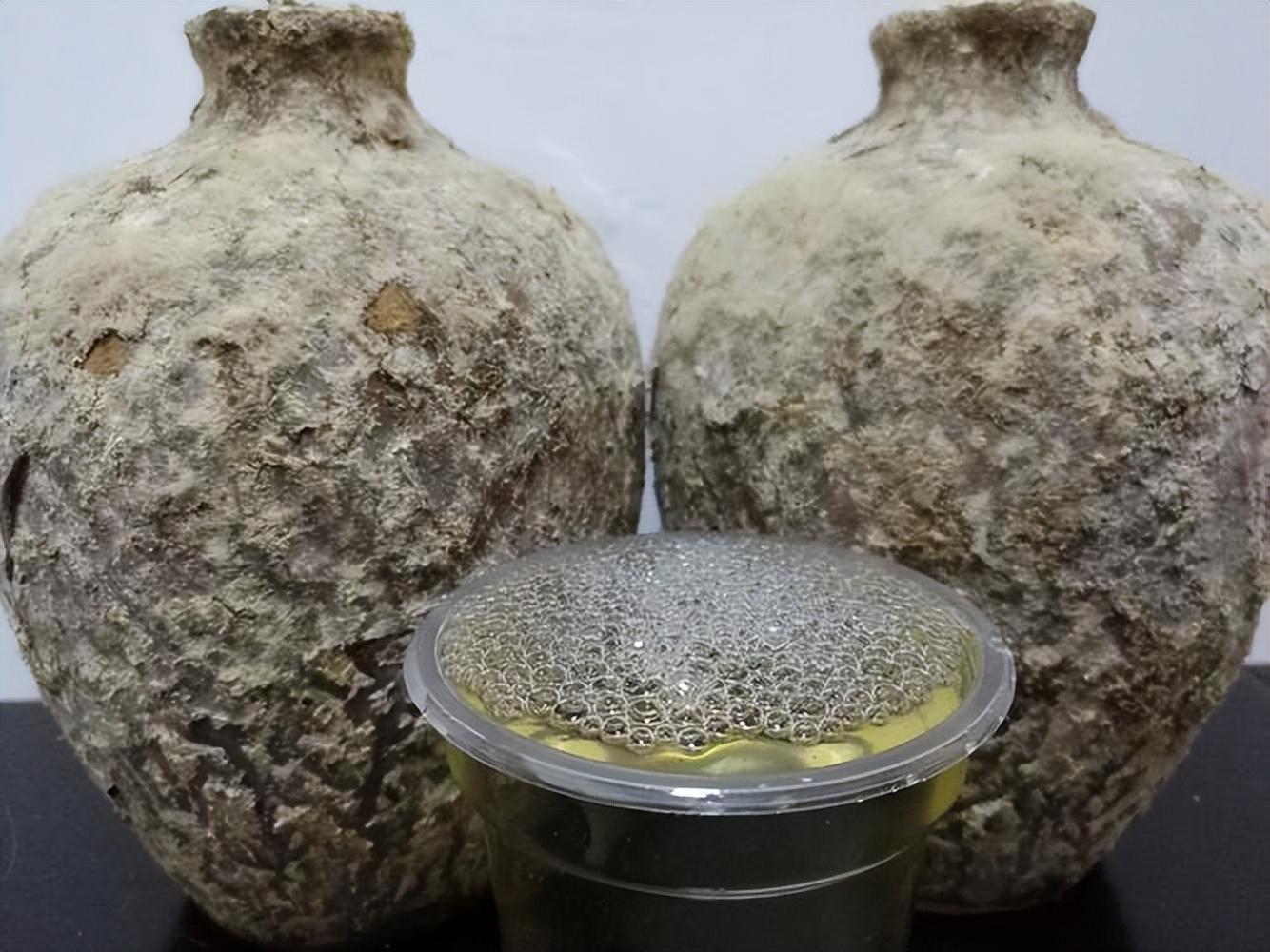 仁怀房屋出售最新信息，科技与家居融合，未来家居新体验重磅推出