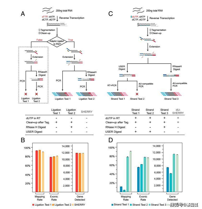 新澳门49图资料,科学分析严谨解释_BDU85.735跨平台版