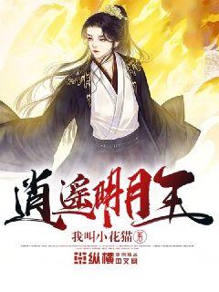 时代之光下的璀璨篇章，明月珰最新连载热议热议热议！