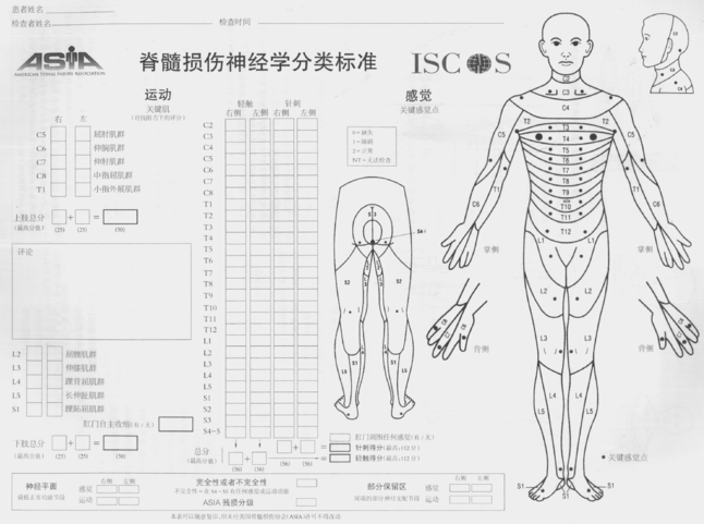国际脊髓损伤最新突破进展迅速，带来重大突破！