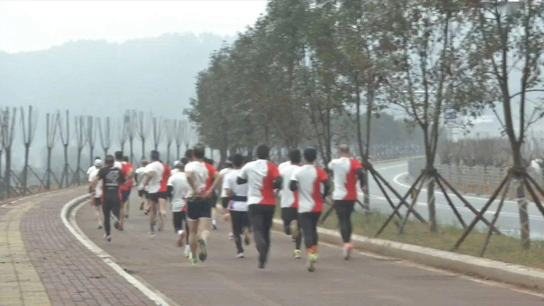 古田环湖路最新动态揭秘，时代脉搏与城市发展的融合之路