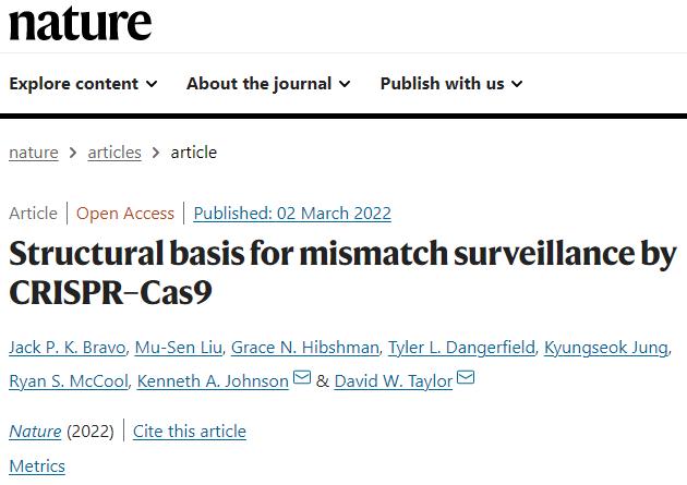 新澳开奖结果资料查询,安全设计解析说明法_PIA47.734触感版