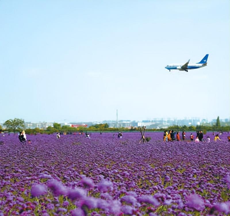 兰州新区最新招工信息及小巷风味小店探秘
