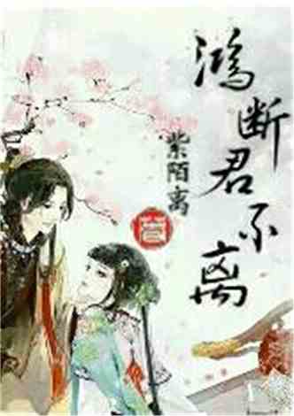 沈南汐最新小说，知识的力量，成就梦想的翅膀之路