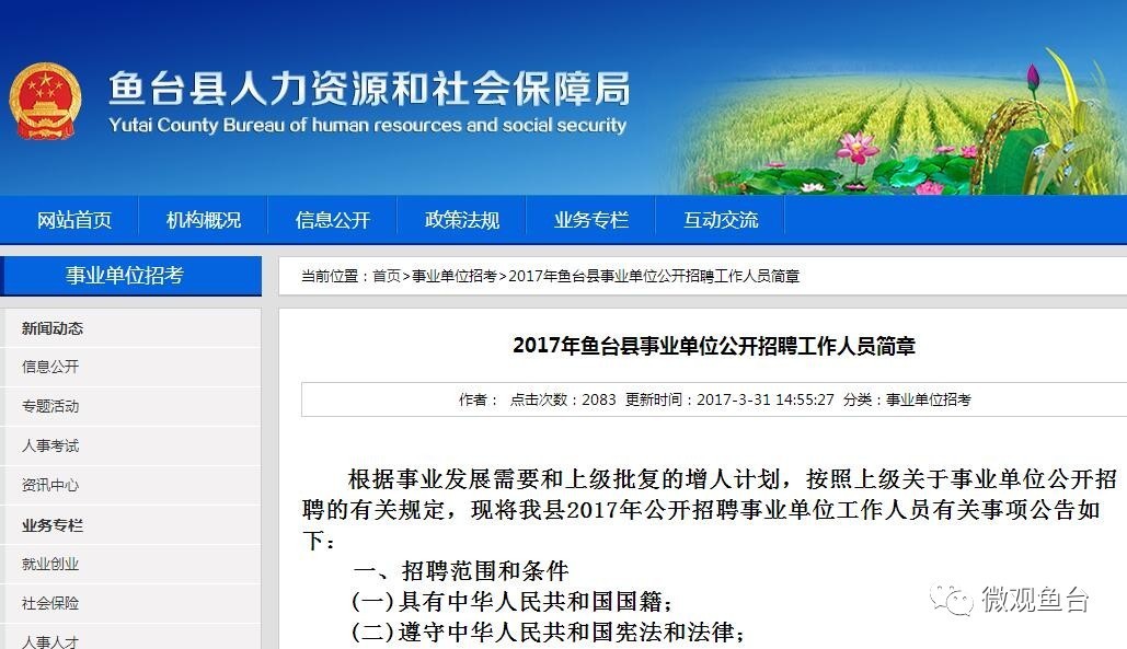 鱼台最新招聘信息大全，求职步骤指南与招聘信息更新速递