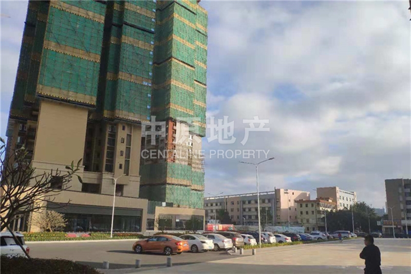 运动场馆灯具 第291页