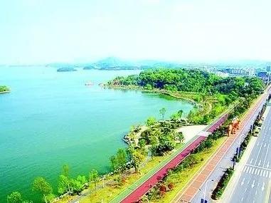 岳阳北港小学最新动态揭秘,校园新闻与活动更新