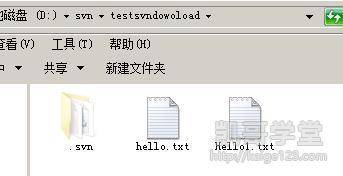Jav最新网址探索，小巷深处的独特风味之旅