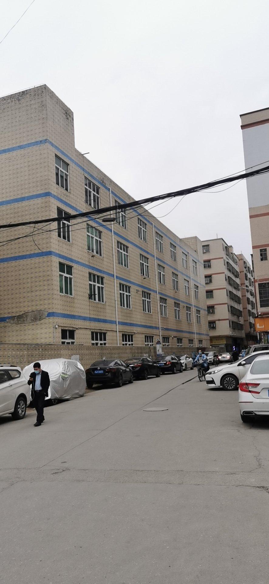 滑县独院出售信息,最新房源与一段难忘的友情故事