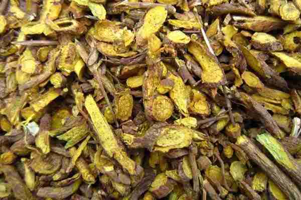 中药黄芩最新价格及行情概述