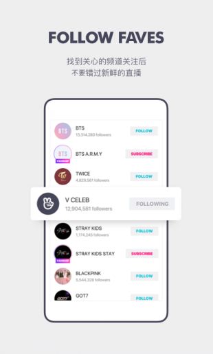 VAPP最新版下载，观点论述与获取渠道