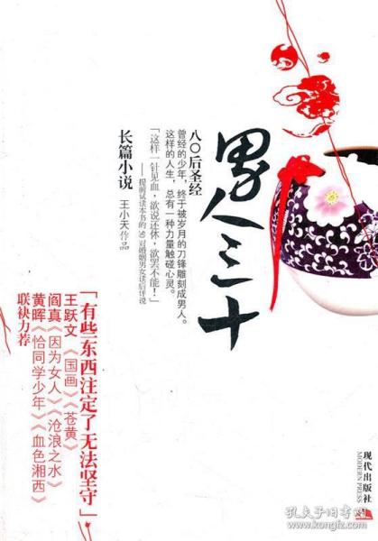 春十三少最新小说深度解析与观点阐述