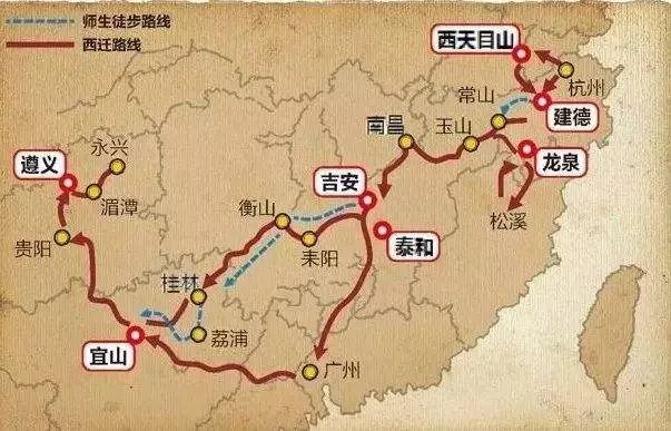 夫人路线最新更新,深度分析与个人观点总结