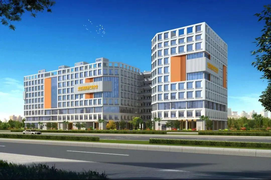 2024又要开始做核酸了,数据分析计划_CSO83.529清新版