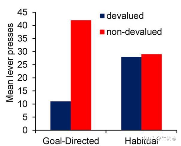 精准一码免费公开澳门,数据导向计划_EPE83.694习惯版
