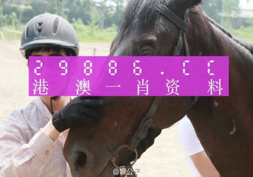 一点红澳门一肖一码,高度协调实施_YXW83.376护眼版