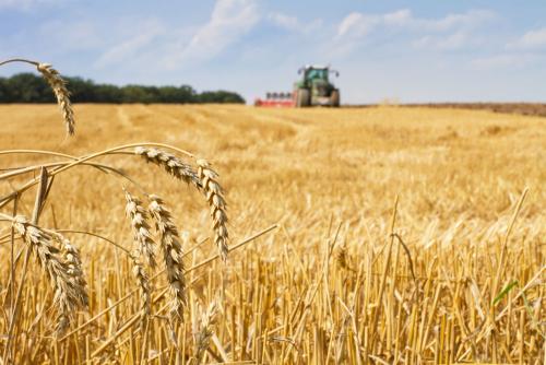 鹤壁小麦最新行情，科技引领农业新时代，市场智能体验新篇章