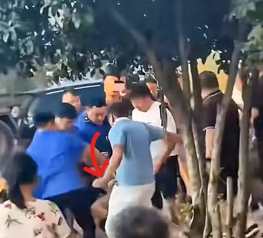 一打假博主团队遭商户围殴,农林经济管理_CNC9.631内容版