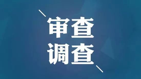 江左梅郎正版资料免费大全一肖,实际调研解析_UTU9.577明亮版