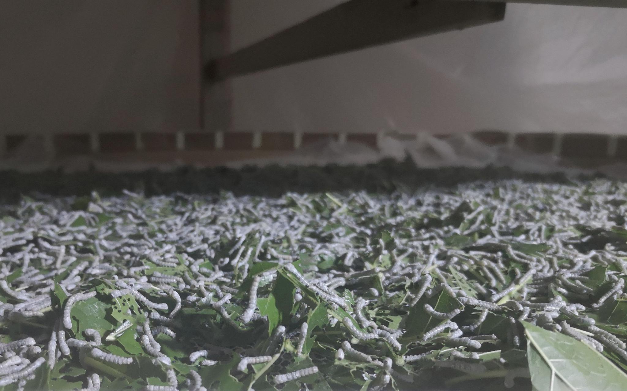 澳门最精准真正最精准龙门蚕,实地数据验证_QJI83.922先锋科技