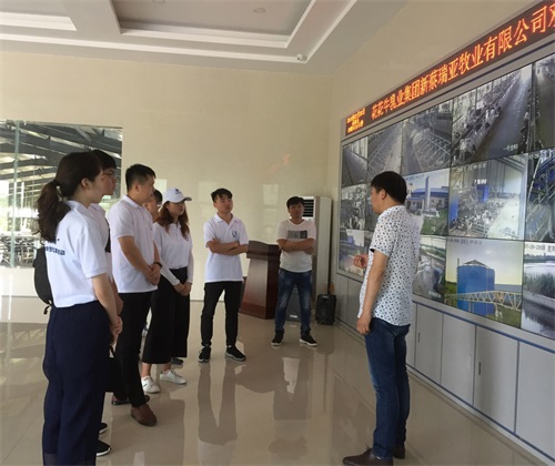 新澳天天管家婆免费资料,实践调查说明_LJC9.464动态版