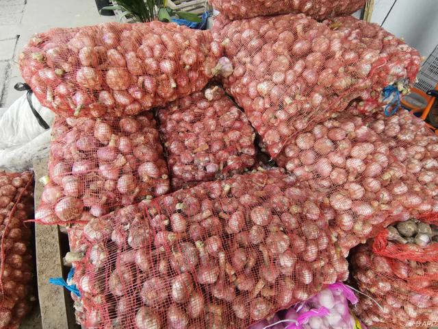 邳州大蒜最新价格与市场波动中的多元观点分析