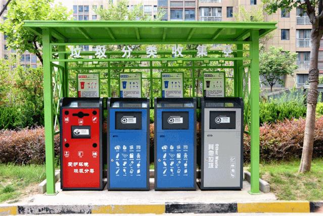 泗阳运河名门最新动态全面指南与详解