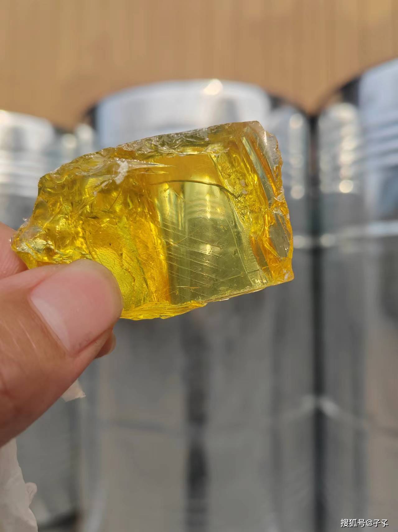 广西2024年松脂价格走势及分析