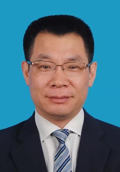 运动场馆灯具 第261页