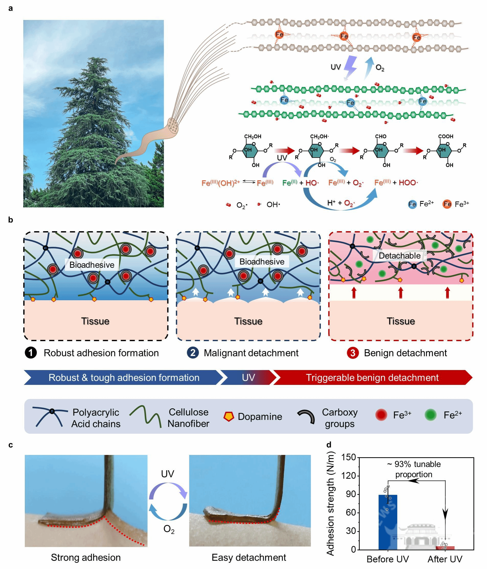 2024新澳门原料免费大全,创新策略设计_硬件版77.555