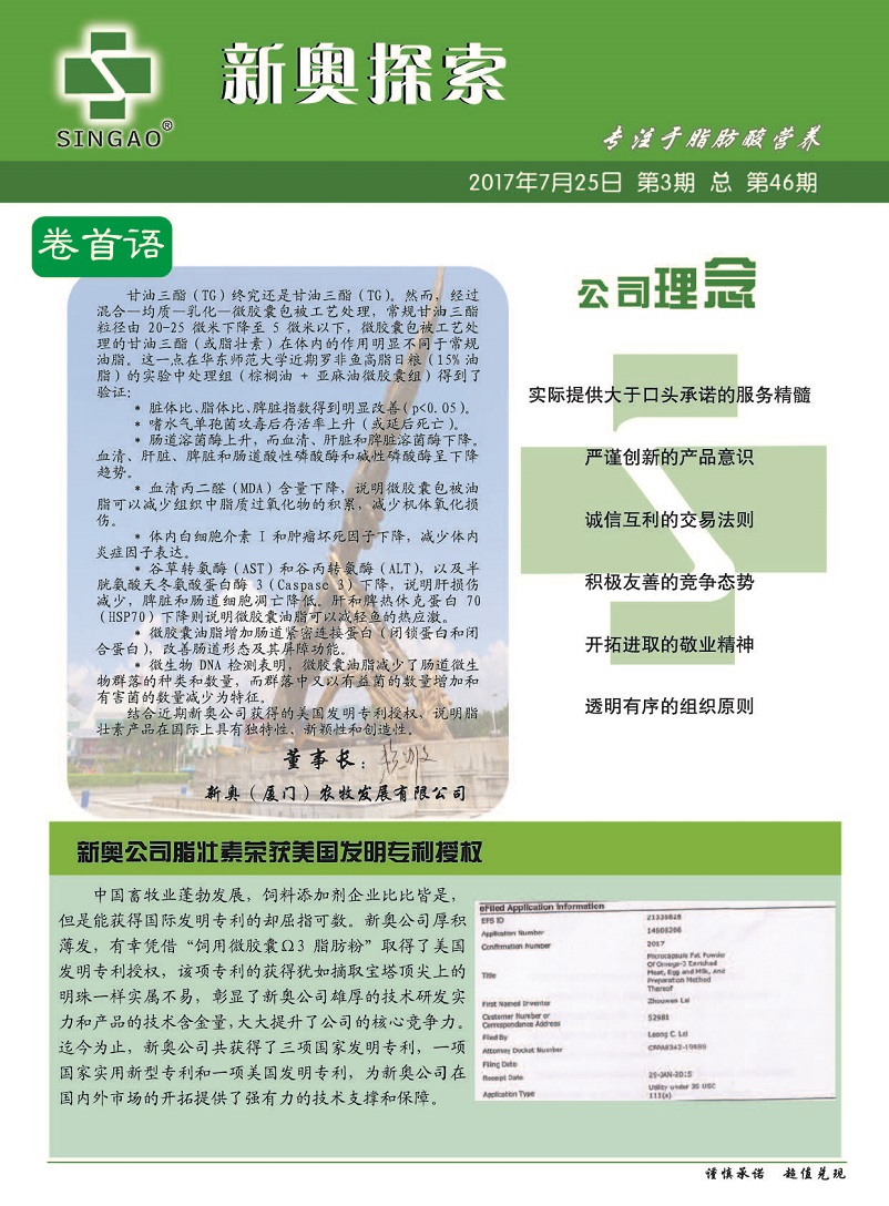 新澳精准资料免费提供网站有哪些,安全保障措施_流线型版36.176