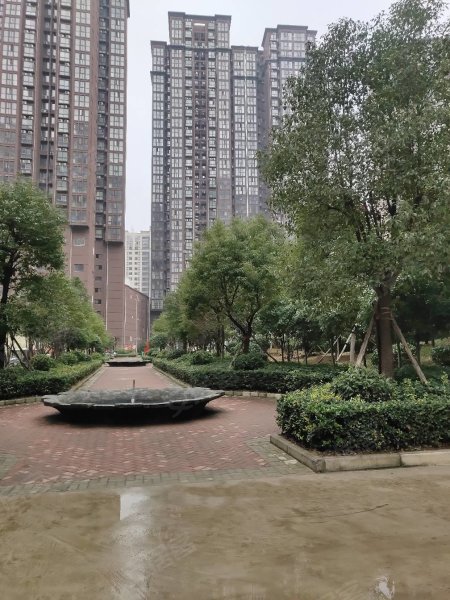 南阳盛世御苑最新动态揭秘，全面指南与步骤详解