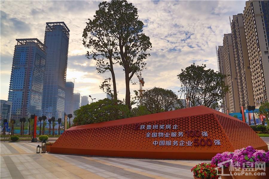 南宁彰泰城最新动态，解读其最新发展及影响的一种观点分析
