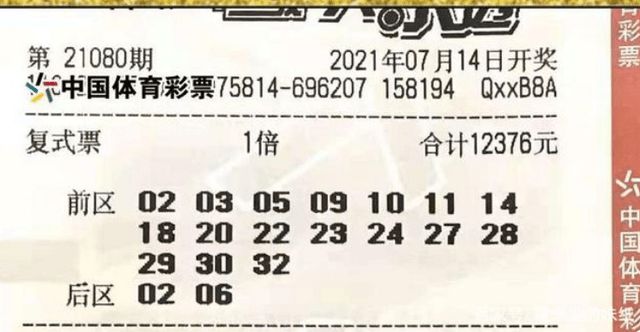澳门特马今天开奖结果,全面设计实施_外观版67.325