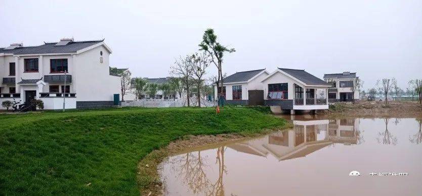 高刘镇天河村最新消息及其影响深度解析