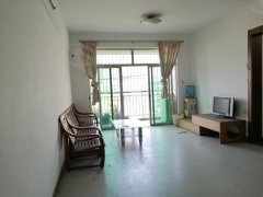 顺德北滘二手房市场最新概览及房源信息