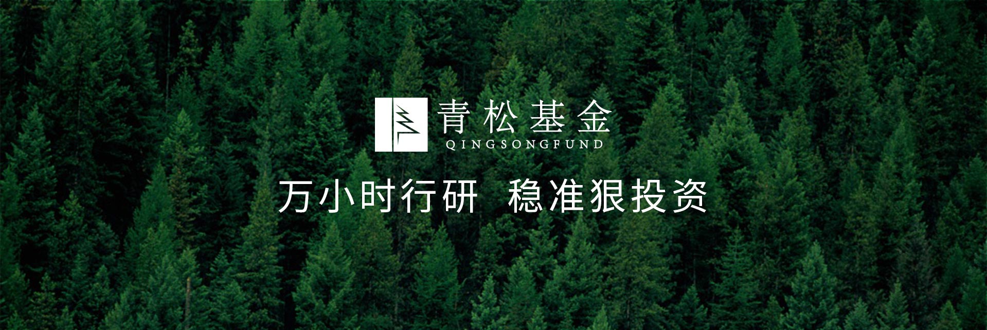 长青树众筹最新动态，背景、发展与时代地位探索