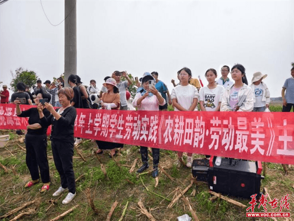 桃源木塘垸乡新动态，趣事连连，真挚友情绽放乡间