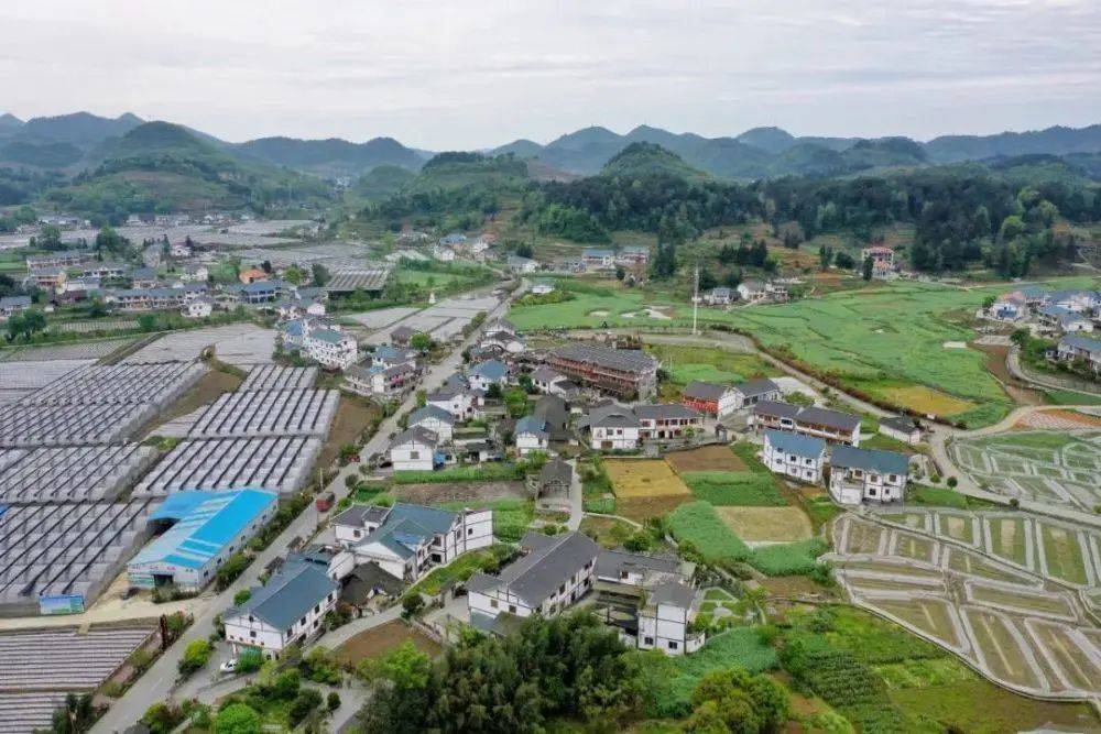 遵义市喇叭镇最新动态更新，最新消息汇总