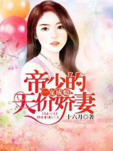 冷少的天价宠妻,科技宠妻新体验重塑生活新纪元章节更新速递