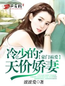 冷少的天价宠妻,科技宠妻新体验重塑生活新纪元章节更新速递