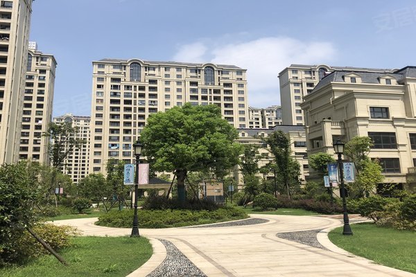 塞纳蓝湾二期最新动态,变化中的学习之旅,自信与成就感的源泉启航