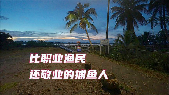 打鱼晒网最新一期聚焦观点之争的视频报道