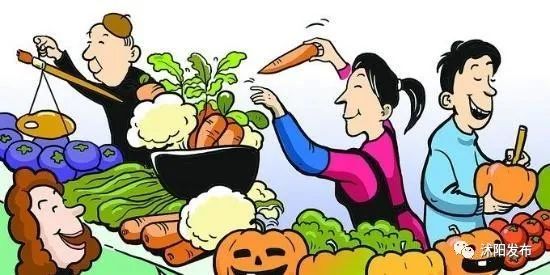 金果榄最新市场行情概览