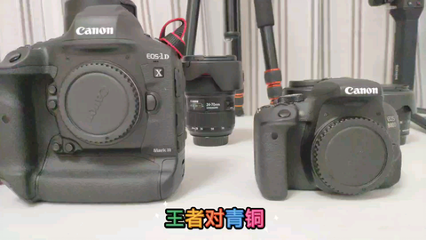 佳能1DX3最新动态,专业摄影体验迈入新里程碑