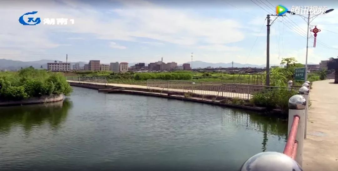 仙城镇七陂村最新动态更新📣