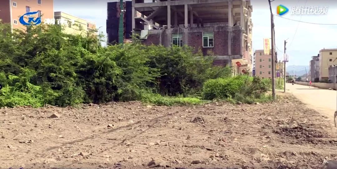 仙城镇七陂村最新动态更新📣