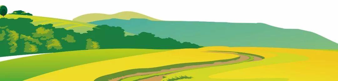 蓝田县未来蓝图，最新发展规划揭秘