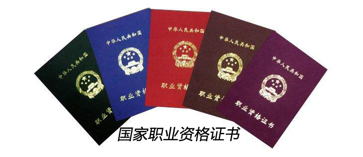 最新国家职业资格证书获取指南，步骤与要点解析