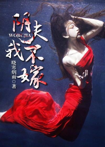 我的怪咖阴夫,高科技产品的革新之旅与独特体验